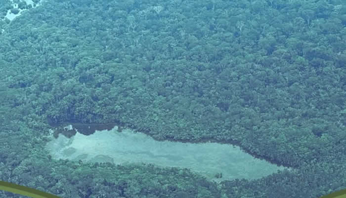 Meta y su balance ambiental de 2025