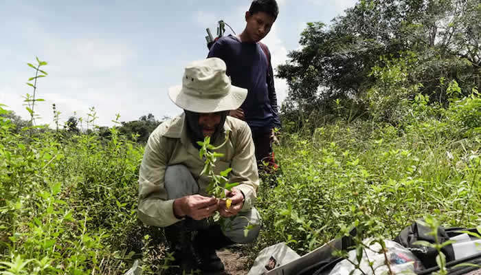 Acuerdo conjunto por la biodiversidad en el Guaviare