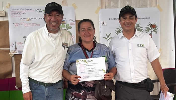 Capacitación a mujeres rurales en Puerto Rico (Meta)