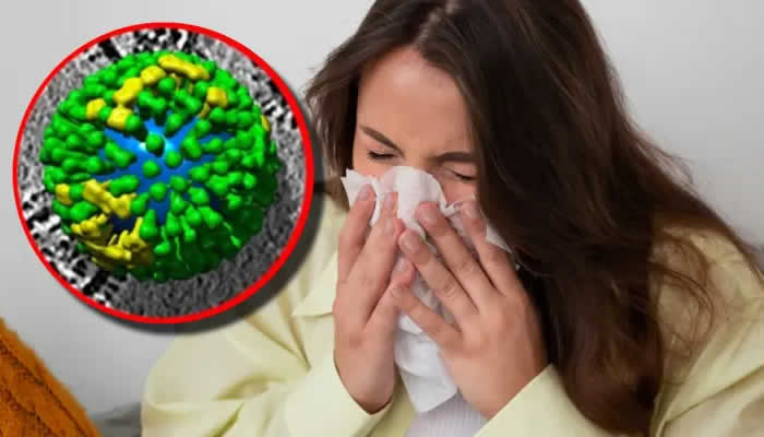 Virurs H3N2 circula en Colombia, recomiendan vacunación