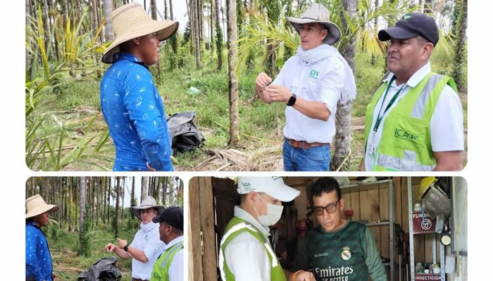 Productores del Guaviare se certifican en buenas prácticas