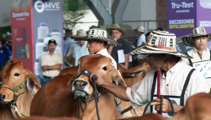 Expomalocas 2026 y su balance en el Meta
